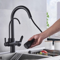 Robinet de cuisine moderne en laiton avec filtre purificateur d'eau, finition nickel brossé, pour la maison et les projets (vente en gros)