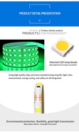 Bande lumineuse LED RGB, smd 2835, 12/24 V, télécommande intelligente sans fil, WIFI, détection de musique, étanche