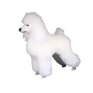 Pet School Model Dog Display Grooming Practice barboncino Full Body Pet Dog Model Educational Model Dog