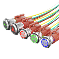 Metalen Hoge Hoofd 19Mm Ring Vergrendeling Ip67 Arrêterende 1no1nc Elektronische Knop Schakelaar