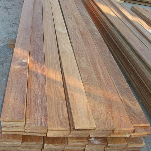 ธรรมชาติ