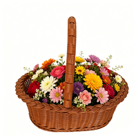 Panier en rotin PP tressé à la main de forme ovale avec poignée – Rangement durable pour jouets pour filles et garçons – Offre spéciale