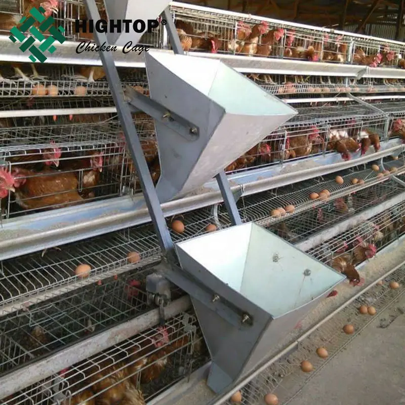 Factory price layer chicken battery cage for chicken farm for sri lanka