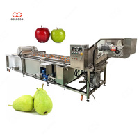 Automatische Dragon Fruit En Groenten Reinigingsapparatuur Fruit Was-En Verpakkingsmachine