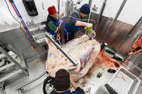 Prix d'usine Conteneur mobile pour bétail Équipement d'abattoir Machine de traitement halal pour bovins et ovins
