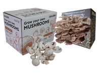 Boîtes d'emballage en carton ondulé pour kits de culture de champignons biologiques avec impression personnalisée