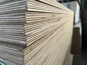 Professional Factory Poplar Plywood Veneer 3mm 5mm 9mm 12mm 15mm 18mm Eucalyptus Wood Plywood