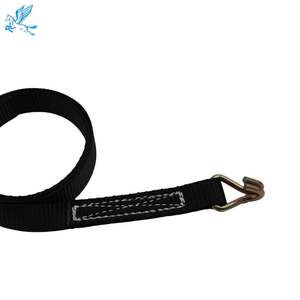 Beijing Tianma 1 pouce 25mm noir <span class=keywords><strong>enrouleur</strong></span> sans fin en acier serrure à <span class=keywords><strong>cliquet</strong></span> <span class=keywords><strong>sangle</strong></span> d'arrimage Double J crochet embout raccords à <span class=keywords><strong>cliquet</strong></span> arrimage - Product Image 4