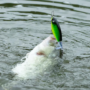 Señuelo de superficie Ikeba Topwater Pencil, cebo flotante para lubina y pez cabeza de serpiente, señuelo artificial de lanzado largo. - Product Image 2