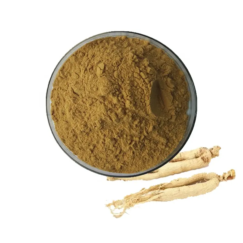 Integratore sanitario Ginseng bacca/Ginseng/Panax Ginseng estratto 10:1 100 g/borsa