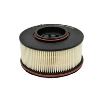 Le filtre à carburant de voiture 31920-S1900 convient à la Santa Fe Palisade Kia pour remplacer le filtre à carburant 31920S1900