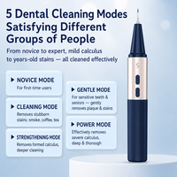 Brosse à dents électrique sonique (avec lumière bleue) pour éliminer le tartre et la saleté, appareil de beauté dentaire électrique 2 en 1