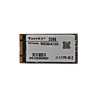 Hard Drive Vaseky M.2 1TB 512GB 256GB 128GB 64GB NGFF SATA M2 2242 SSD