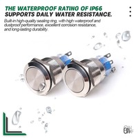Interruptor de Botón Pulsador Metálico LVBO de 16 mm con Cabeza Plana, Sin Iluminación, 2NO2NC, Resistente al Agua, para Montaje en Panel, para Control Industrial