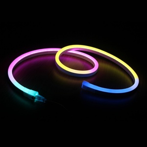 Tira de Luz LED RGB de Neón, Impermeable IP68, Forma de Domo de PVC, Píxeles Dinámicos Mágicos, 24V, para Paisajismo - Product Image 5