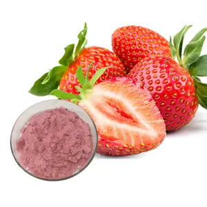 Top Quality Natural Strawberry Flavor Powder Spray Dried Strawberry Powder