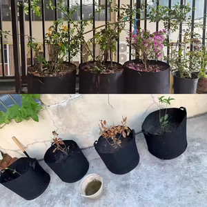 En Stock, 5 galones, 19 <span class=keywords><strong>litros</strong></span>, bolsa de cultivo de fieltro, <span class=keywords><strong>macetas</strong></span> de vivero no tejidas económicas para uva para granja - Product Image 5