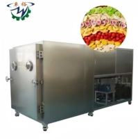Volledig automatische Zhuoyu roestvrijstalen vacuümvriesdroger voor bloemen & fruit, hoge productiviteit, commerciële apparatuur