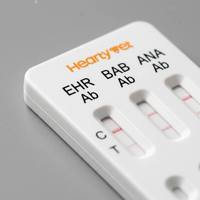 Test rapide 3 en 1 pour le dépistage multi-infections EHR BAB ANA Ab, suite de diagnostic canine Ehrlichia Babesia Anaplasma, fabrication en usine