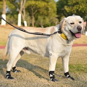 Joymay Accessoires antidérapants de luxe <span class=keywords><strong>pour</strong></span> animaux de compagnie Chaussettes <span class=keywords><strong>pour</strong></span> chiens Chaussettes de patte <span class=keywords><strong>pour</strong></span> intérieur et extérieur Fabriqué en latex PU Fabricant de chaussettes de chaussures <span class=keywords><strong>pour</strong></span> chiens - Product Image 5