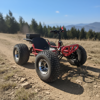 Kart électrique 4 roues, buggy, moteur en cuivre 18 kW, vitesse maximale 45 km/h, suspension indépendante, course pour adolescents et adultes, divertissement
