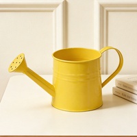 Arrosoir en alliage coloré et durable, capacité 1000 ml ; Vente en gros disponible pour bouquets de fleurs fraîches décoratifs pour fleuristes