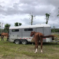 Remorque pour chevaux standard australienne 2026 2HAL avec canapé-lit, cloison de séparation et boîte à selle pivotante