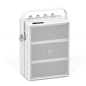 60 watt 5000mAh có thể sạc lại pin công suất lớn Bluetooth <span class=keywords><strong>PA</strong></span> loa với Mic Loa Karaoke Di động đặt cuộc họp - Product Image 1