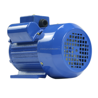 Moteurs électriques à courant alternatif monophasé série Yl vente chaude 0.5hp 10hp 220v 230v 240v haute efficacité 220v 230v 240v moteurs à courant alternatif simples