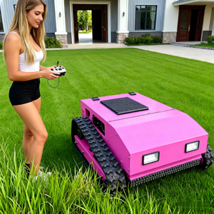 Tondeuse à gazon autoportée puissante de bonne qualité, moteur diesel, machine à couper l'herbe robuste pour les travaux de paysagisme professionnels - Product Image 2