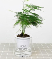 Pot Tanaman Hidroponik Bulat Transparan untuk Kantor, Pot Bunga Plastik Besar dengan Penyiraman Otomatis untuk Sukulen