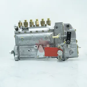 Genuino Cummins 6BT pezzo di ricambio del motore pompa di iniezione del carburante 4093766 pompa elettronica di iniezione del carburante