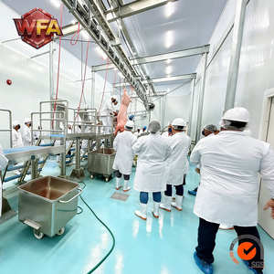 Máquina llave en mano para matadero <span class=keywords><strong>de</strong></span> cerdos, maquinaria para matanza <span class=keywords><strong>de</strong></span> ganado, planta <span class=keywords><strong>de</strong></span> procesamiento <span class=keywords><strong>de</strong></span> carne <span class=keywords><strong>de</strong></span> cerdo, equipo <span class=keywords><strong>de</strong></span> carnicería CE, <span class=keywords><strong>caja</strong></span> <span class=keywords><strong>de</strong></span> aturdimiento con cinta <span class=keywords><strong>transportadora</strong></span> - Product Image 2