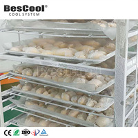 Chambre froide BesCool -30°C à -5°C, chambre de congélation, congélateur commercial et industriel à vendre, sur mesure, vente en gros, CE ISO