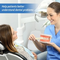 Modelo Dental de Demostración Anatómica para Enseñanza Médica, Dientes de Tipodonto Multiusos para Higiene Bucal y Entrenamiento de Enfermería