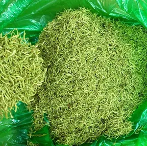 Lonicera japónica-flores de madreselva para la fabricación de té de hierbas, infusión tónica de té, pinzas de cóctel, colorante para pastel - Product Image 1