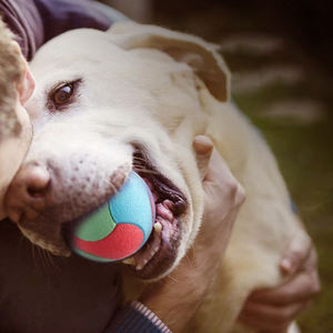 Jouet pour animaux de compagnie résistant aux morsures en TPR écologique, moderne, pour chiens de taille moyenne et grande, pour moudre les dents, boule rebondissante à mâcher - Product Image 3
