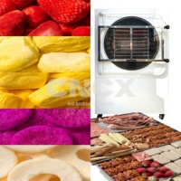 Commerciële vriesdroogmachine voor voedselverwerking, behoudt voedingsstoffen zonder vriesbrand.