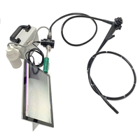 Endoscope vétérinaire flexible, nouvelle série d'endoscopes médicaux durables, solutions complètes d'endoscopie médicale