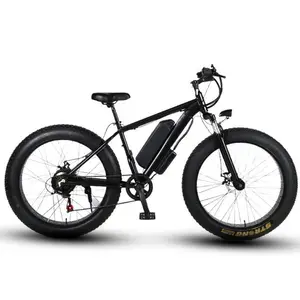 Bicicleta eléctrica de nieve personalizada, cicla de montaña de 48V, 300w500w1000w, con freno de disco doble de 26 pulgadas, gran oferta, 2021