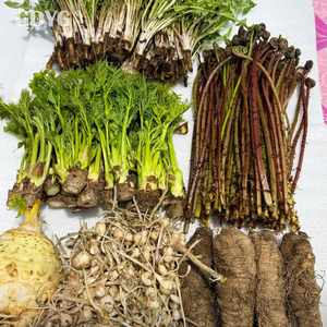 Prix de gros <span class=keywords><strong>Légumes</strong></span> sauvages verts congelés et broyés | Haute Qualité/Export en Gros | Parfait pour les recettes traditionnelles - Product Image 2