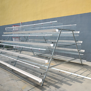 Jaulas de <span class=keywords><strong>gallinas</strong></span> ponedoras tipo A para avicultura, equipos de alimentación y cría de <span class=keywords><strong>gallinas</strong></span> ponedoras en granjas avícolas, jaulas escalonadas para aves de corral. - Product Image 4
