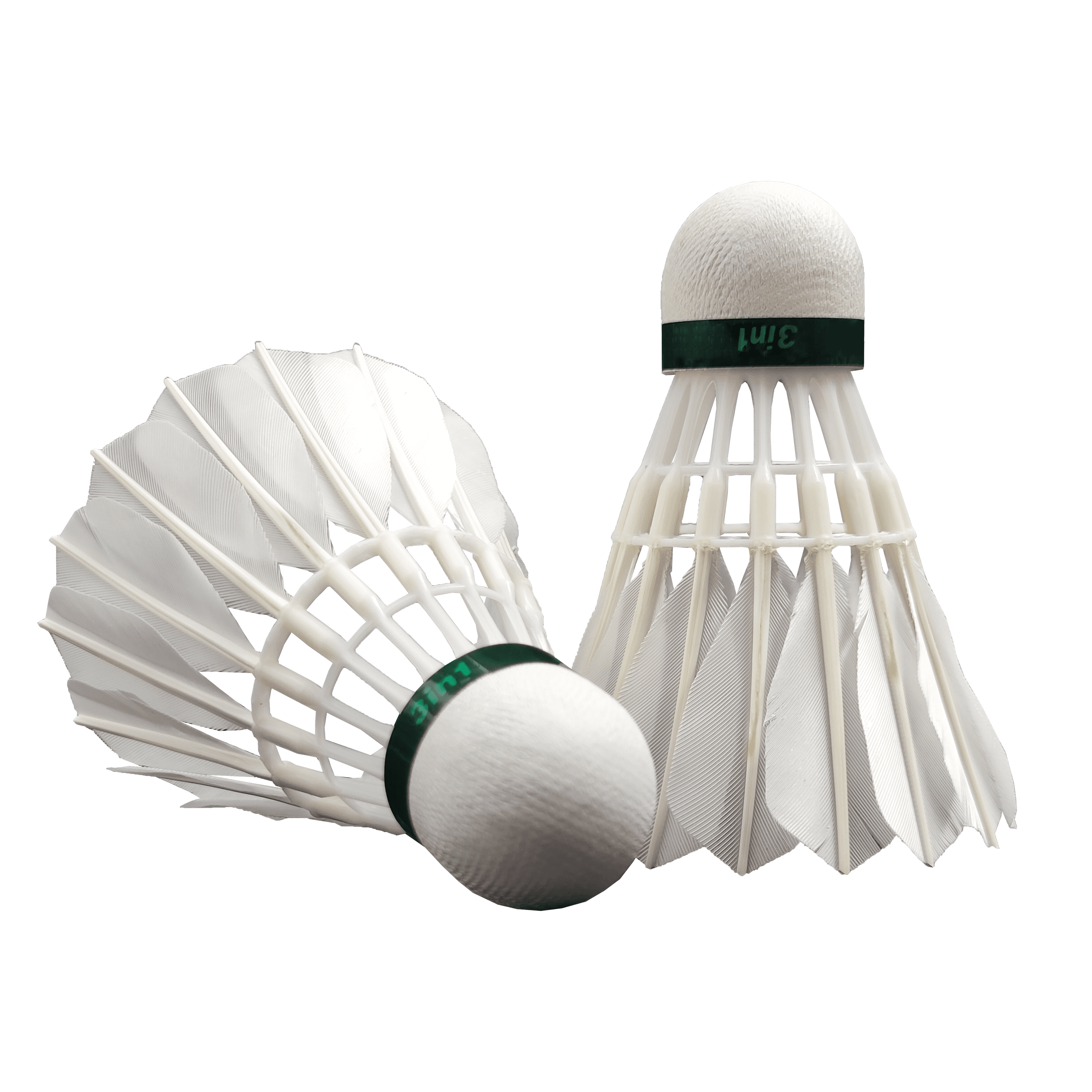 Volants De Badminton En Plumes De Canard - Tube De 12 Balles, Tête En Mousse Souple Pour Entraînement Intérieur/extérieur