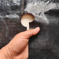 Toile anti-mauvaises herbes pour arbres fruitiers, tissu perforé anti-herbe