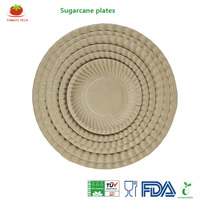 Assiette jetable en fibre de pulpe de canne à sucre de 5 pouces à motif floral, sans PFAS, biodégradable, écologique, compatible micro-ondes, étanche pour aliments