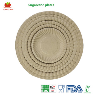 Assiette en fibre <span class=keywords><strong>de</strong></span> pulpe <span class=keywords><strong>de</strong></span> canne à sucre <span class=keywords><strong>de</strong></span> <span class=keywords><strong>5</strong></span> pouces à motif floral, sans PFAS, biodégradable, écologique, pour l'emballage alimentaire des boulangeries, des hôtels et des fêtes - Product Image 5