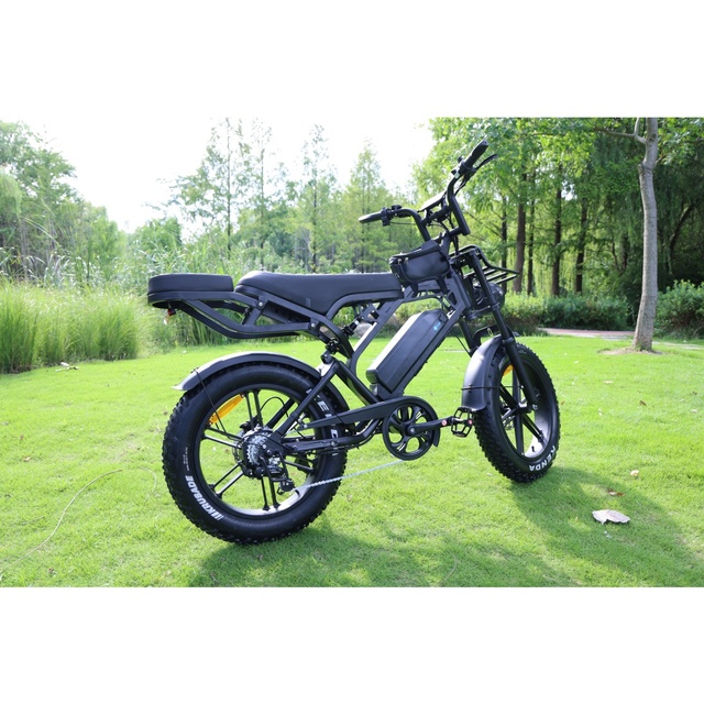 New V20 Pro Fat Tyre Bicicleta Electrica Ebike Adult Electrical Bike Electric Bicycle E Bike Fat Tire Electric City Bike E-bike