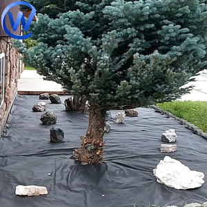 Barrera de malezas de 6 oz, hoja de plástico antimalezas para agricultura sin tejer, lonas para Control de malezas, <span class=keywords><strong>manta</strong></span>, tela 50-150G/M2, forro polar de jardín negro - Product Image 6