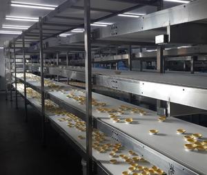 クッキービスケットハンバーガーホットドッグブレッドケーキパッケージベーカリー機器スパイラル空冷モジュラーチェーンローラータワーコンベヤー - Product Image 5