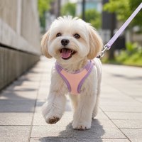 Nylon-Hundegeschirr mit Schnellverschluss Verstellbares Haustiergeschirr Robuster Metall-D-Ring für Kleine Mittlere und Große Hunde